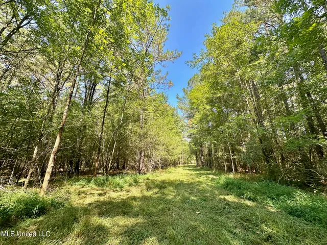 $465,000 | 2 Forest Service Road 562, Pulaski, MS 39152