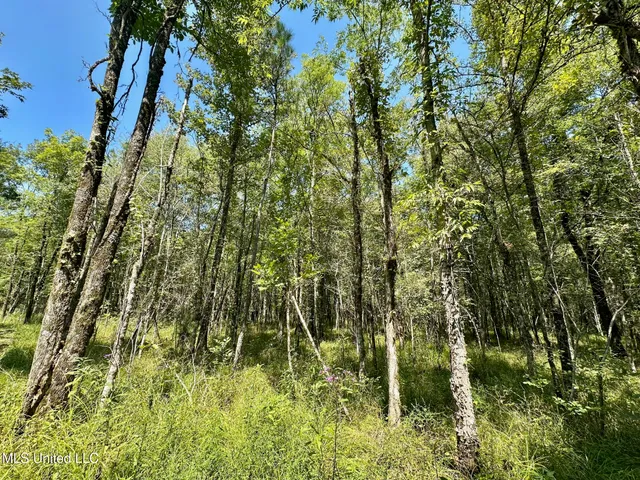 $465,000 | 2 Forest Service Road 562, Pulaski, MS 39152