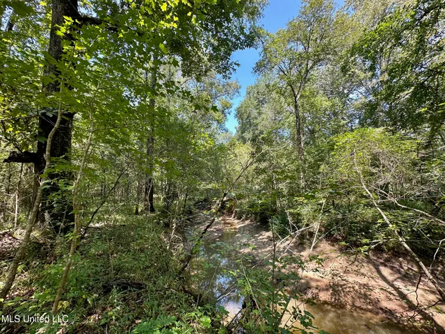 $465,000 | 2 Forest Service Road 562, Pulaski, MS 39152