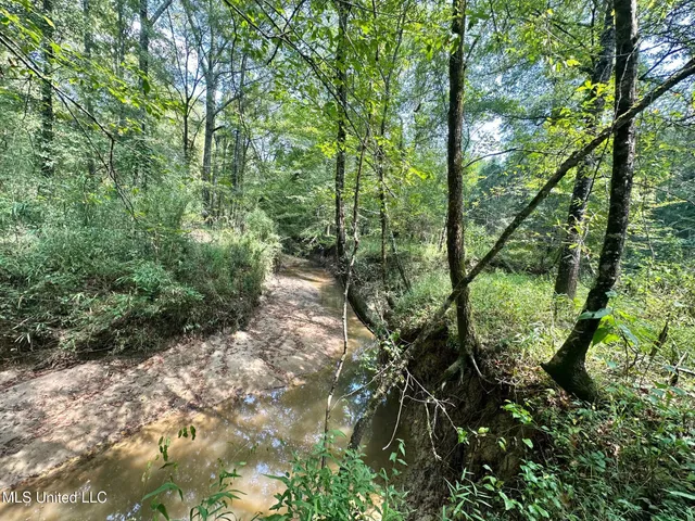 $465,000 | 2 Forest Service Road 562, Pulaski, MS 39152