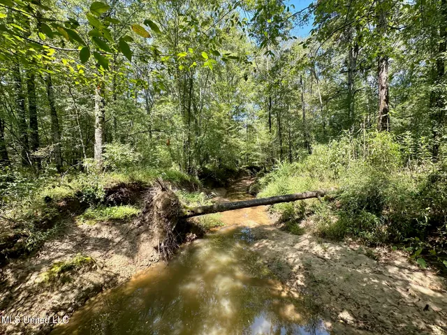 $465,000 | 2 Forest Service Road 562, Pulaski, MS 39152