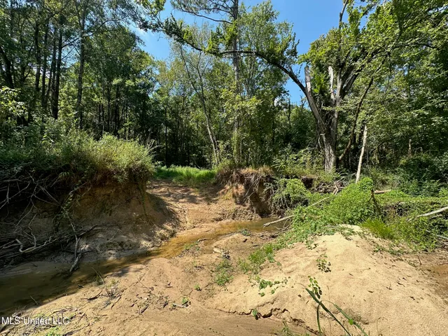 $465,000 | 2 Forest Service Road 562, Pulaski, MS 39152