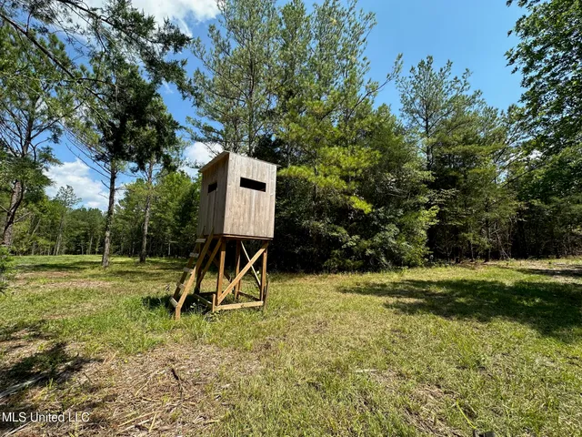 $465,000 | 2 Forest Service Road 562, Pulaski, MS 39152
