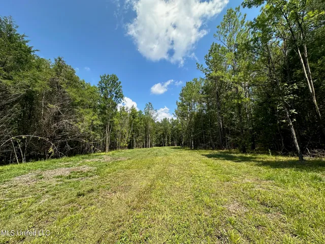 $465,000 | 2 Forest Service Road 562, Pulaski, MS 39152