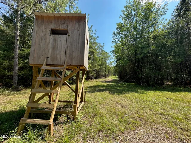 $465,000 | 2 Forest Service Road 562, Pulaski, MS 39152