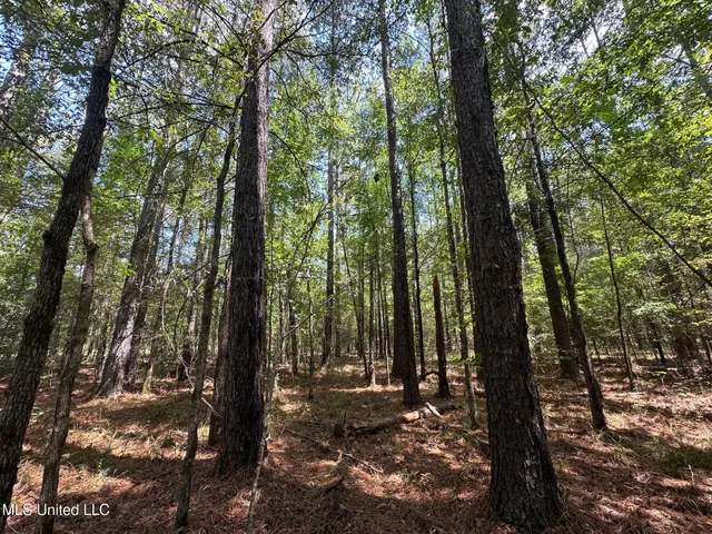 $465,000 | 2 Forest Service Road 562, Pulaski, MS 39152