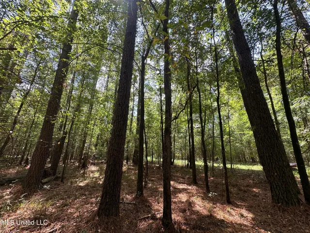 $465,000 | 2 Forest Service Road 562, Pulaski, MS 39152