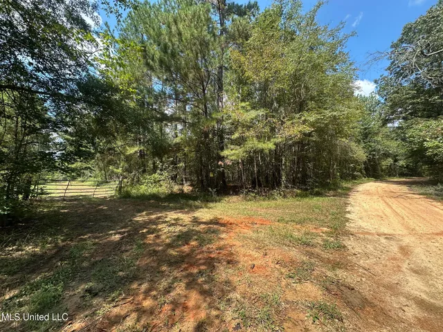 $465,000 | 2 Forest Service Road 562, Pulaski, MS 39152