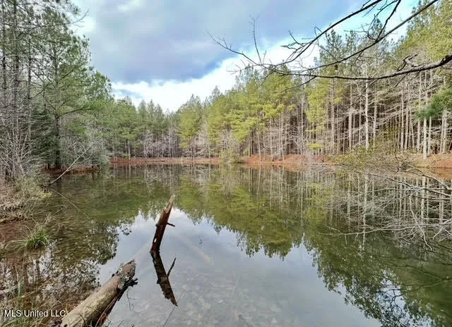 $465,000 | 2 Forest Service Road 562, Pulaski, MS 39152