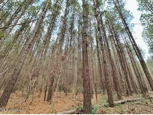 $465,000 | 2 Forest Service Road 562, Pulaski, MS 39152