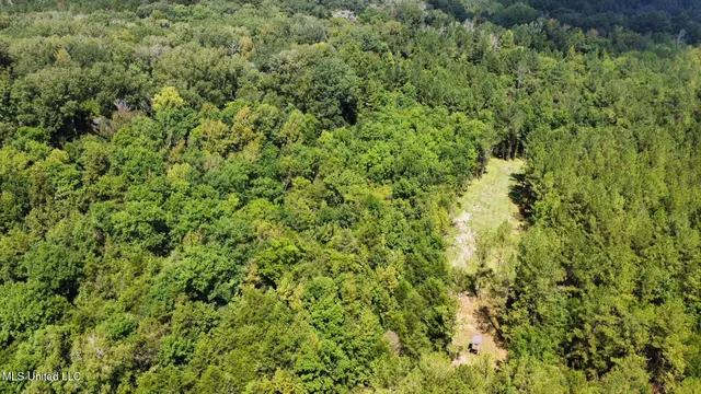 $465,000 | 2 Forest Service Road 562, Pulaski, MS 39152
