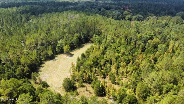 $465,000 | 2 Forest Service Road 562, Pulaski, MS 39152