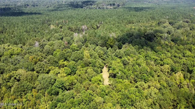 $465,000 | 2 Forest Service Road 562, Pulaski, MS 39152