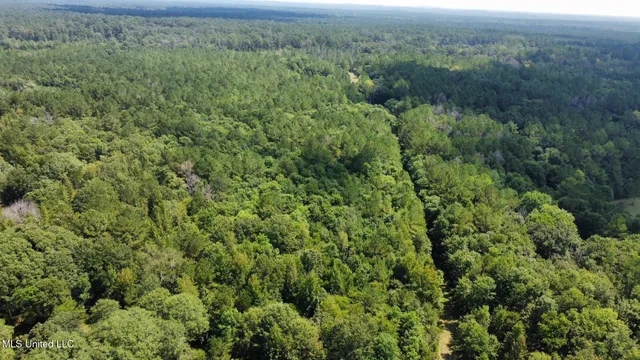 $465,000 | 2 Forest Service Road 562, Pulaski, MS 39152