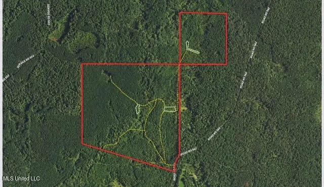 $465,000 | 2 Forest Service Road 562, Pulaski, MS 39152