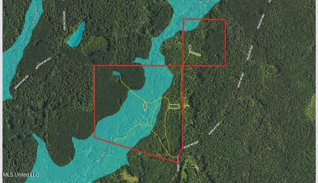 $465,000 | 2 Forest Service Road 562, Pulaski, MS 39152