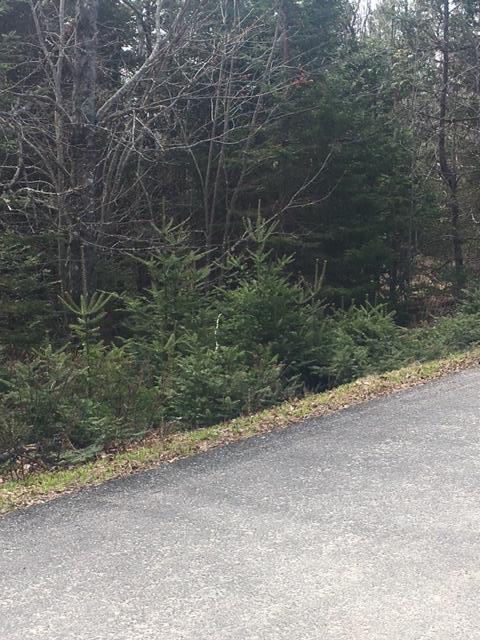 0 Peninsula Road Corea, ME 04624 - Photo 7 of 7 IMG_5352