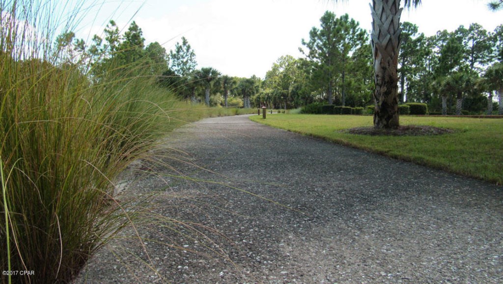 678 Backwater Road, Unit LOT 56 Port St. Joe, FL 32456 - Photo 16 of 25