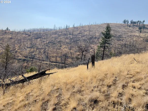 $110,000 | 25361 Baldy Mountain Road, John Day, OR 97845