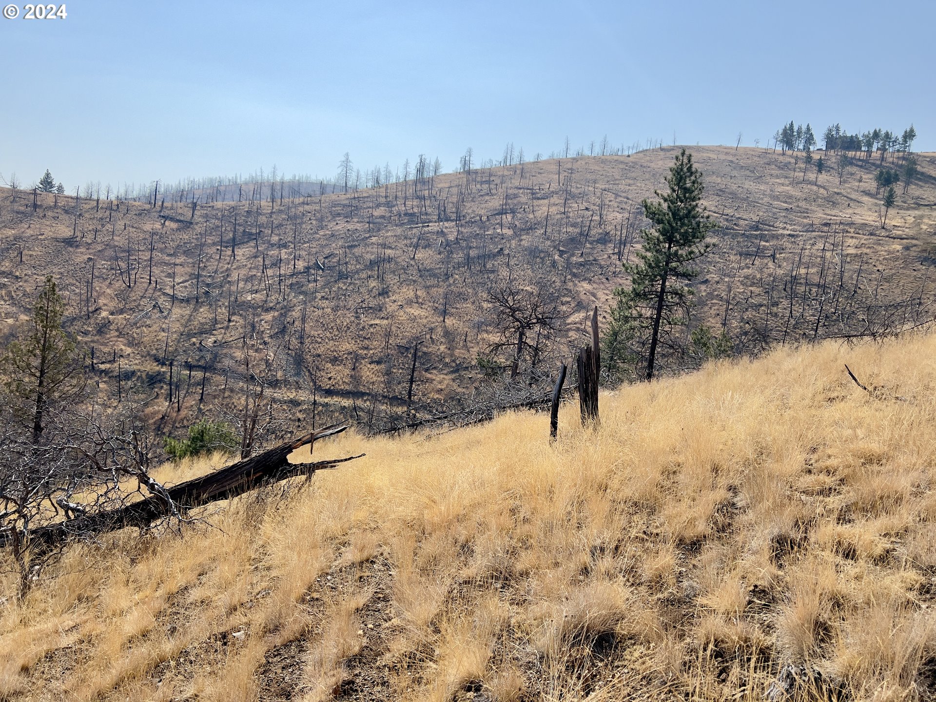 25361 Baldy Mountain Road John Day, OR 97845 - Photo 8 of 12