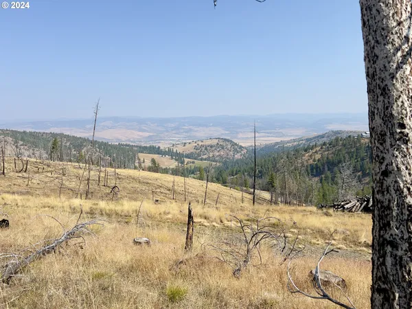 $110,000 | 25361 Baldy Mountain Road, John Day, OR 97845