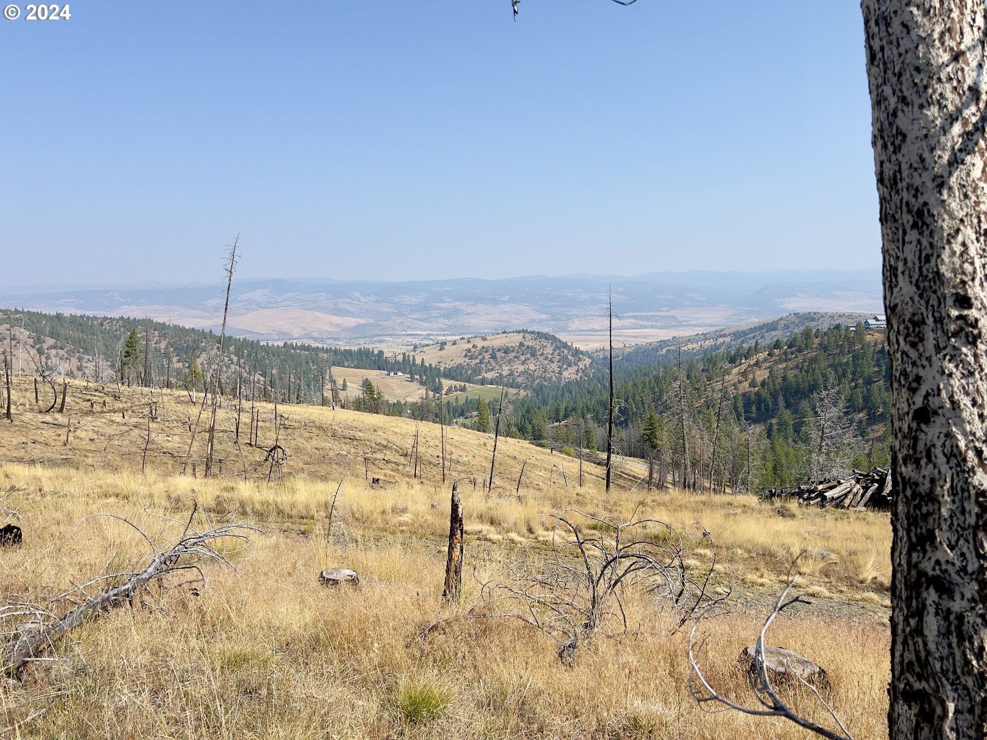 25361 Baldy Mountain Road John Day, OR 97845 - Photo 10 of 12