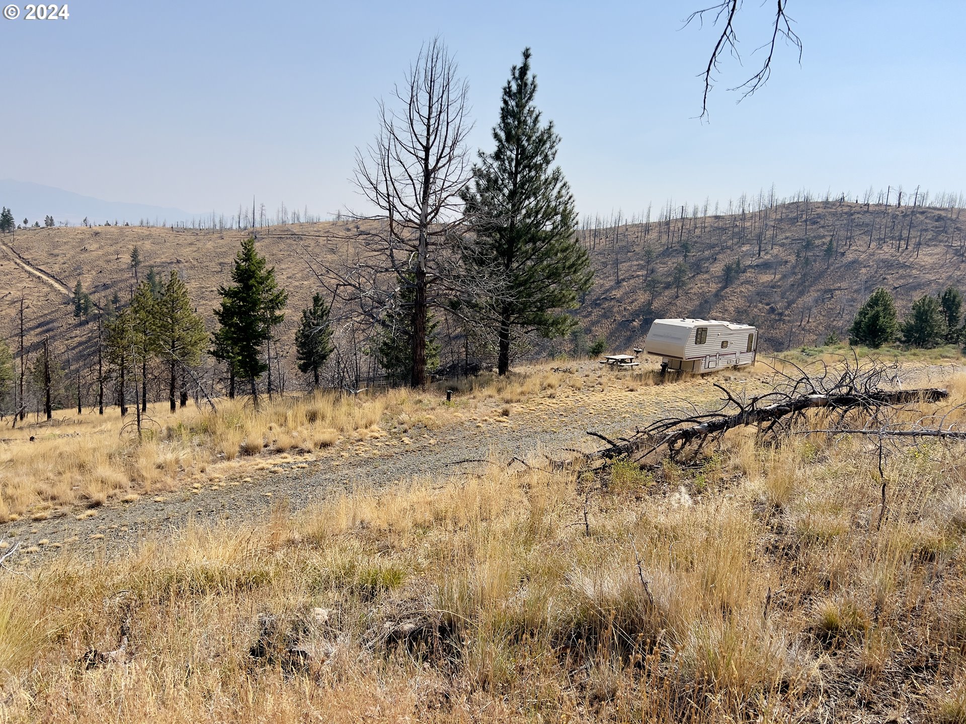25361 Baldy Mountain Road John Day, OR 97845 - Photo 11 of 12