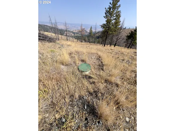 $110,000 | 25361 Baldy Mountain Road, John Day, OR 97845