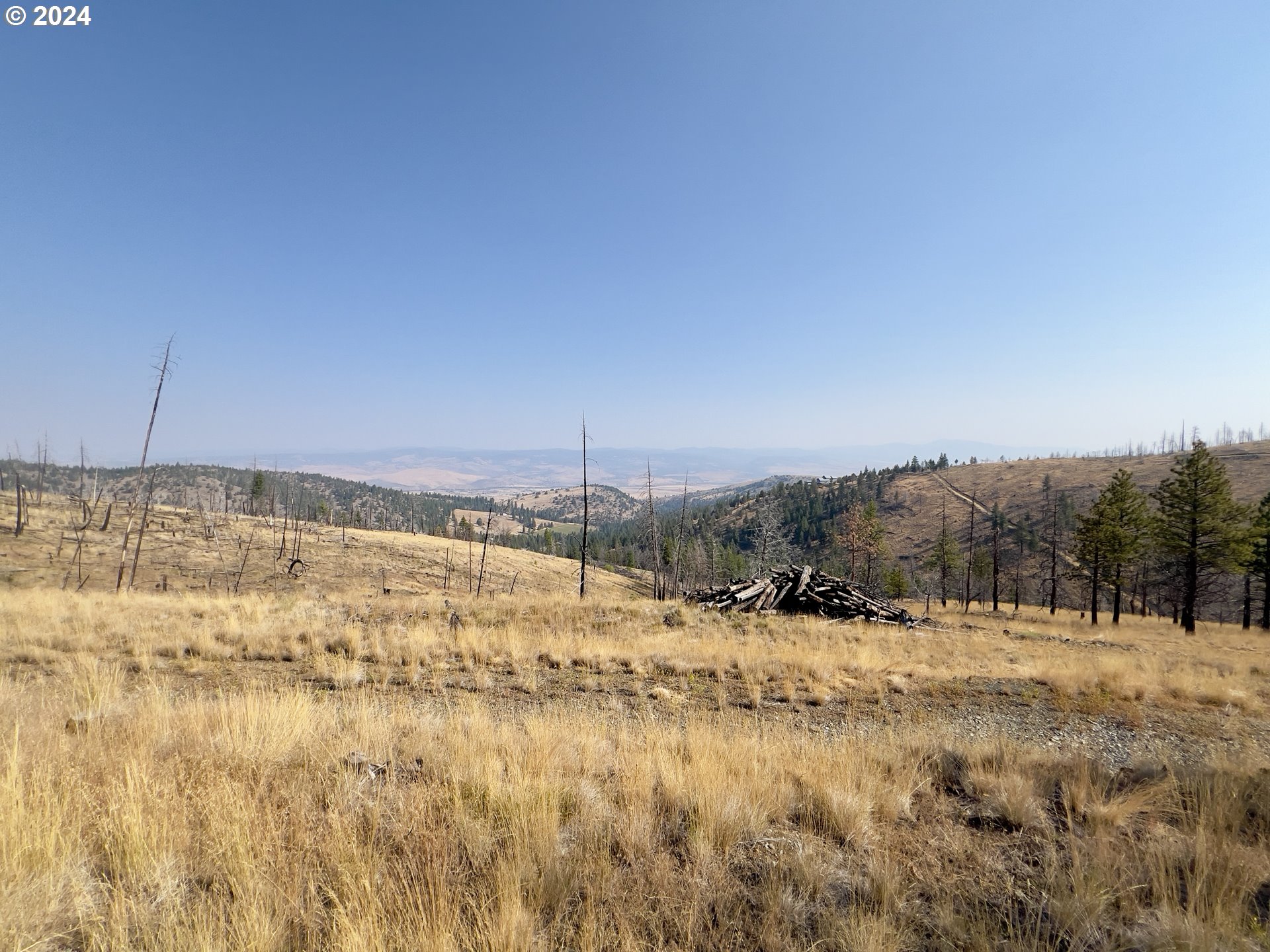 25361 Baldy Mountain Road John Day, OR 97845 - Photo 4 of 12