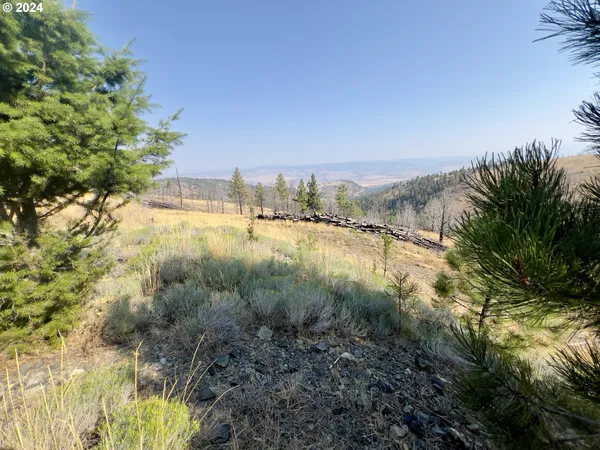 $110,000 | 25361 Baldy Mountain Road, John Day, OR 97845