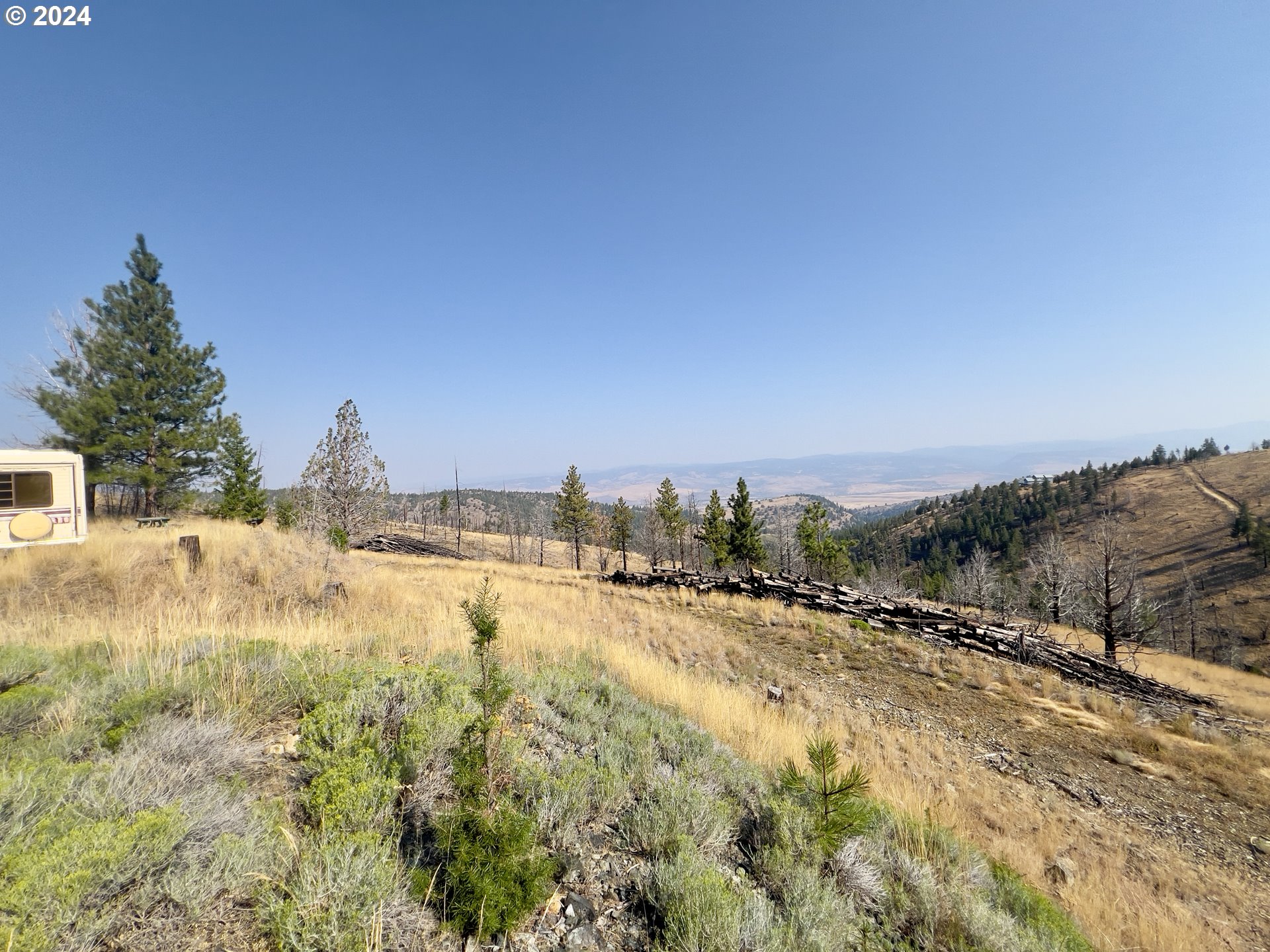 25361 Baldy Mountain Road John Day, OR 97845 - Photo 6 of 12