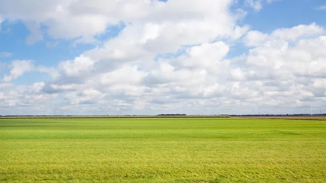 a view of yard with swimming pool and green