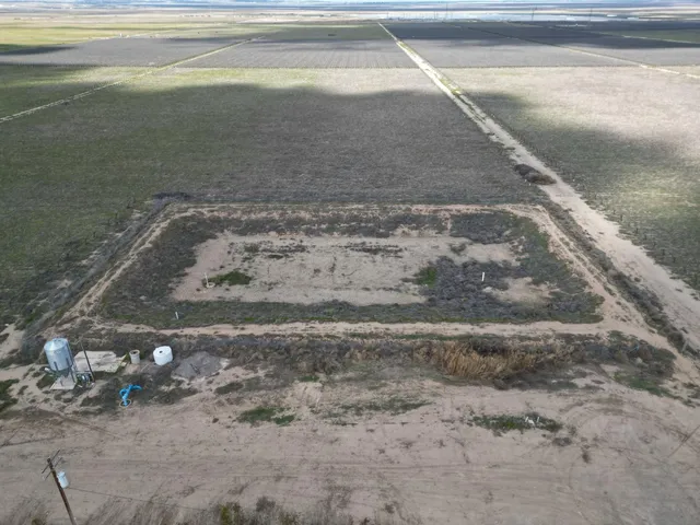 a view of a dry yard