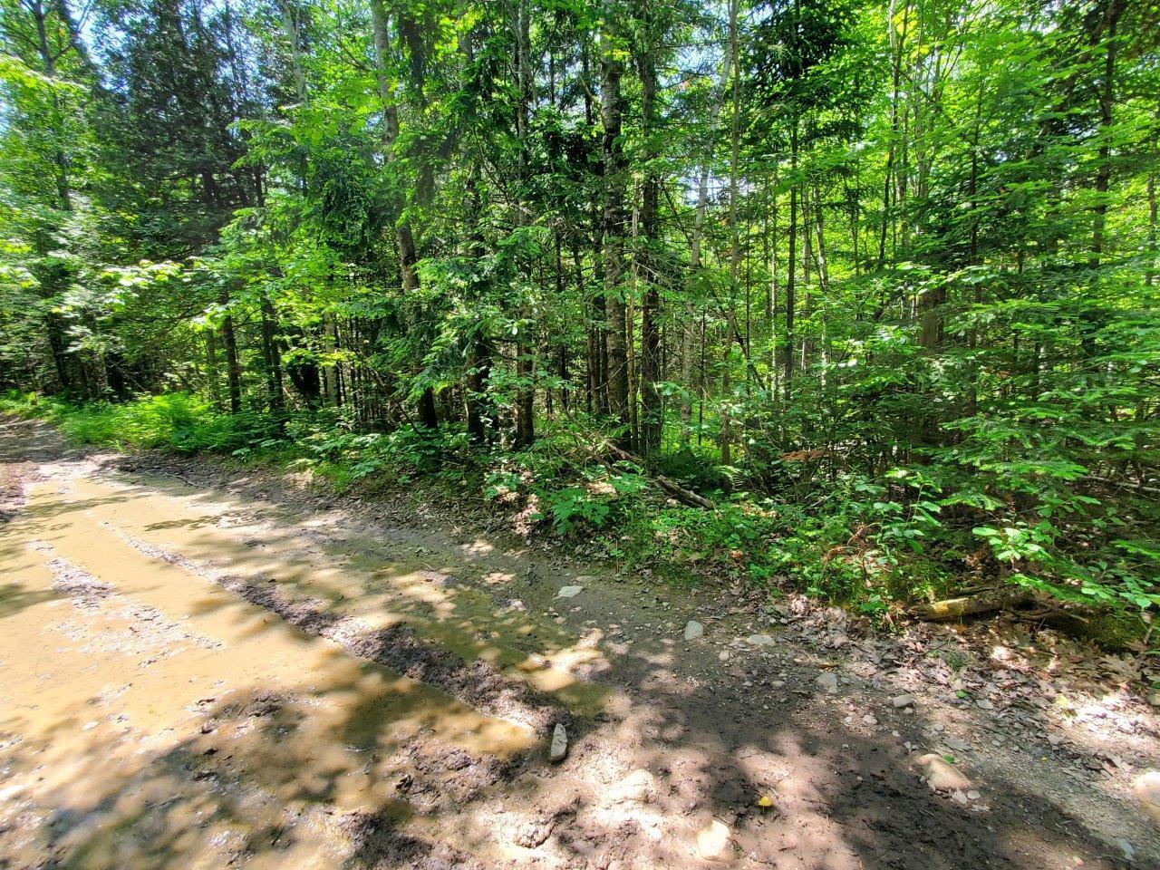 0 Morgan Road Burnham, ME 04922 - Photo 25 of 69 20250617_124017
