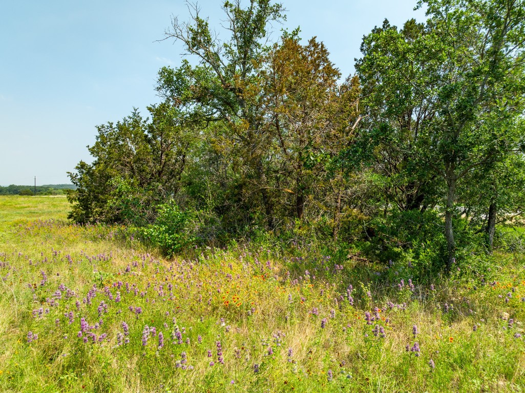 Tbd Tbd Pitchfork Ranch Road Copperas Cove, TX 76522 - Photo 30 of 37