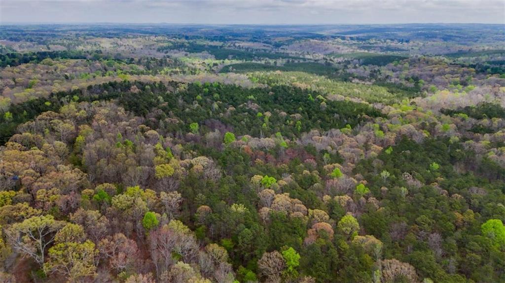 78-acr Cross Plains Road Carrollton, GA 30116 - Photo 12 of 13