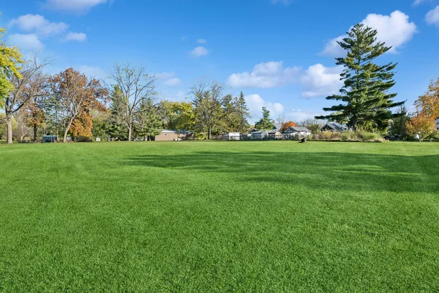 a view of a big yard with plants and large trees