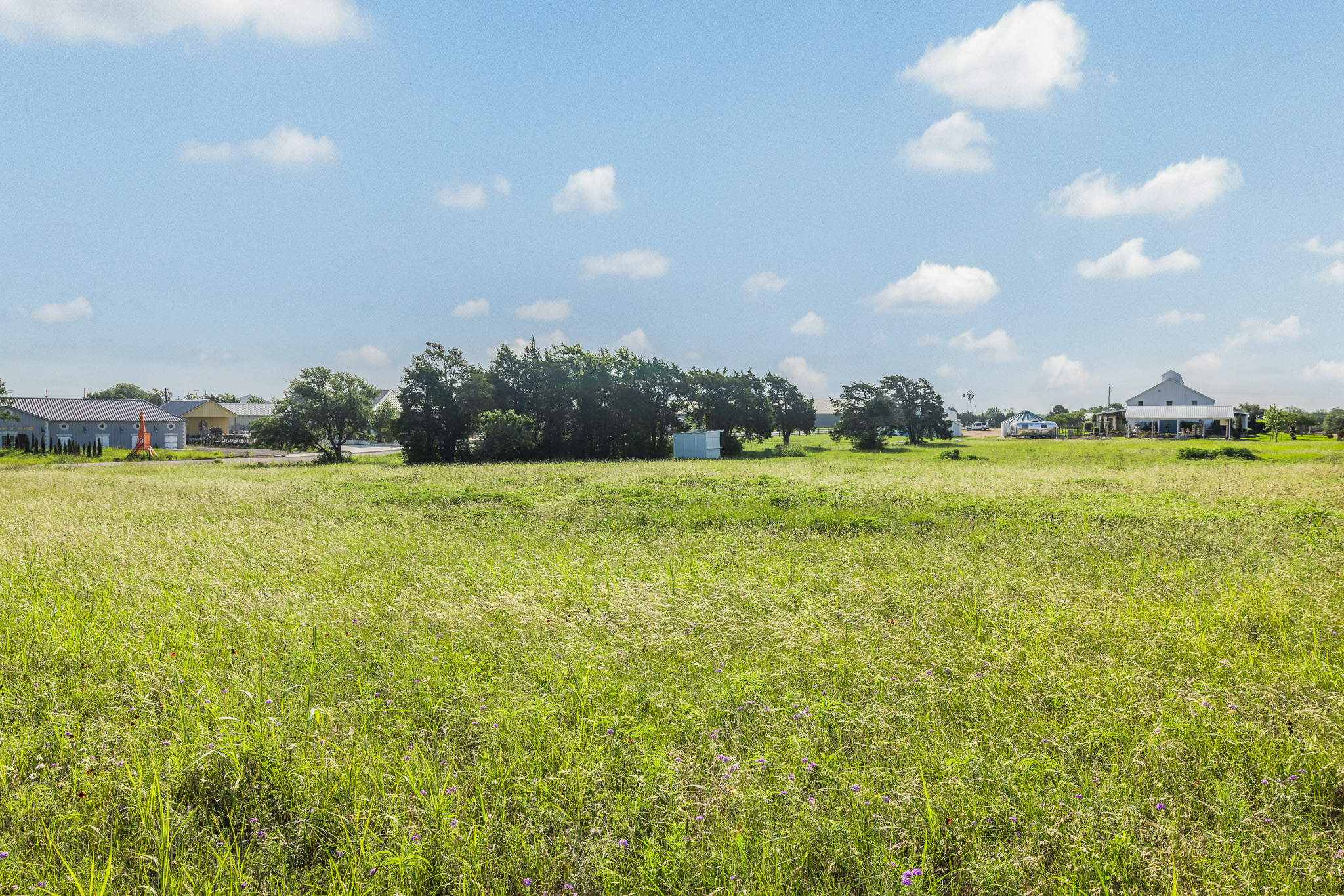 109 Compound Lane Round Top, TX 78954 - Photo 18 of 23 A verdant, open lot offers a serene backdrop for future development.