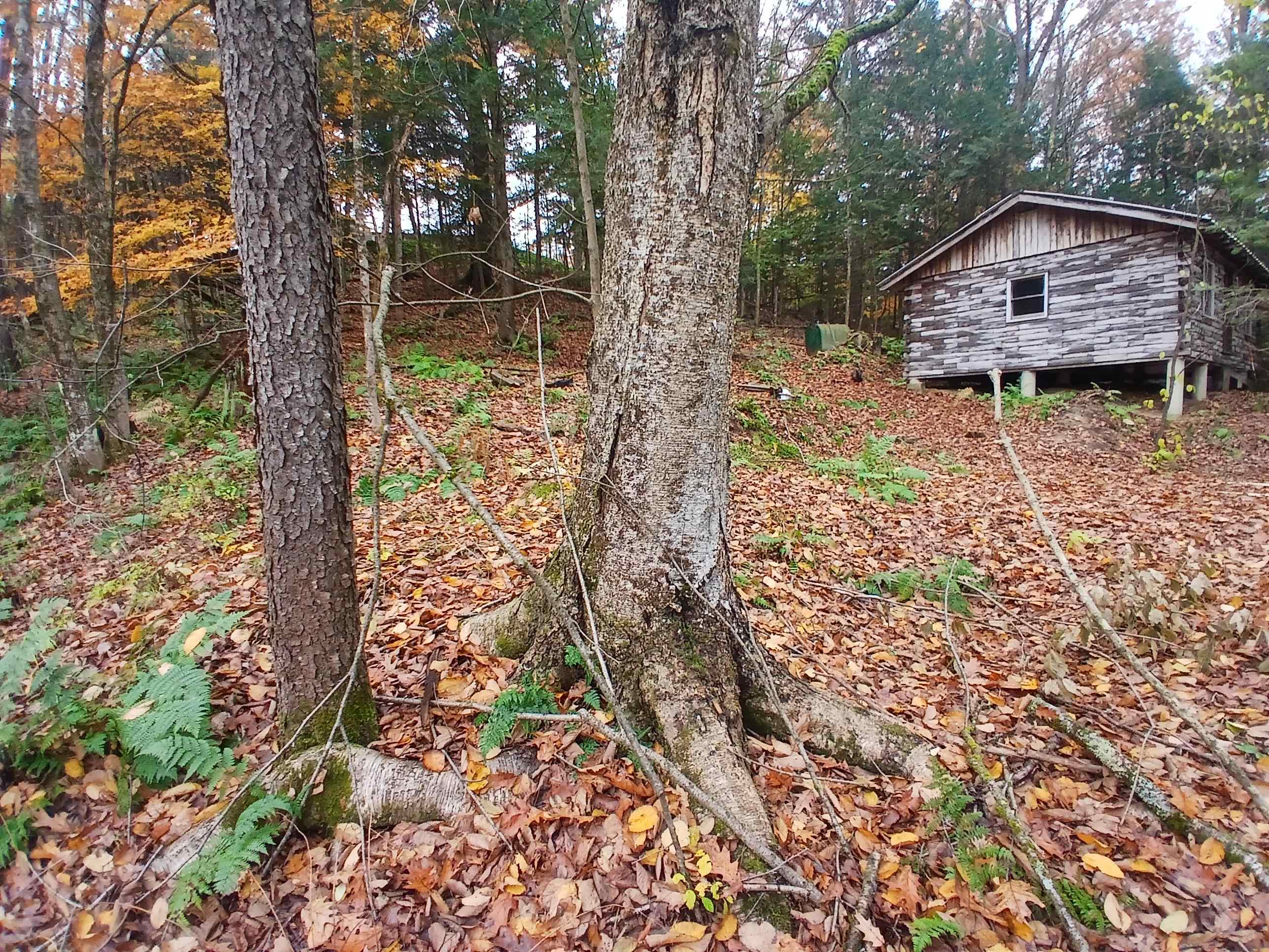 5 East Wilder Road Lebanon, NH 03784 - Photo 24 of 30