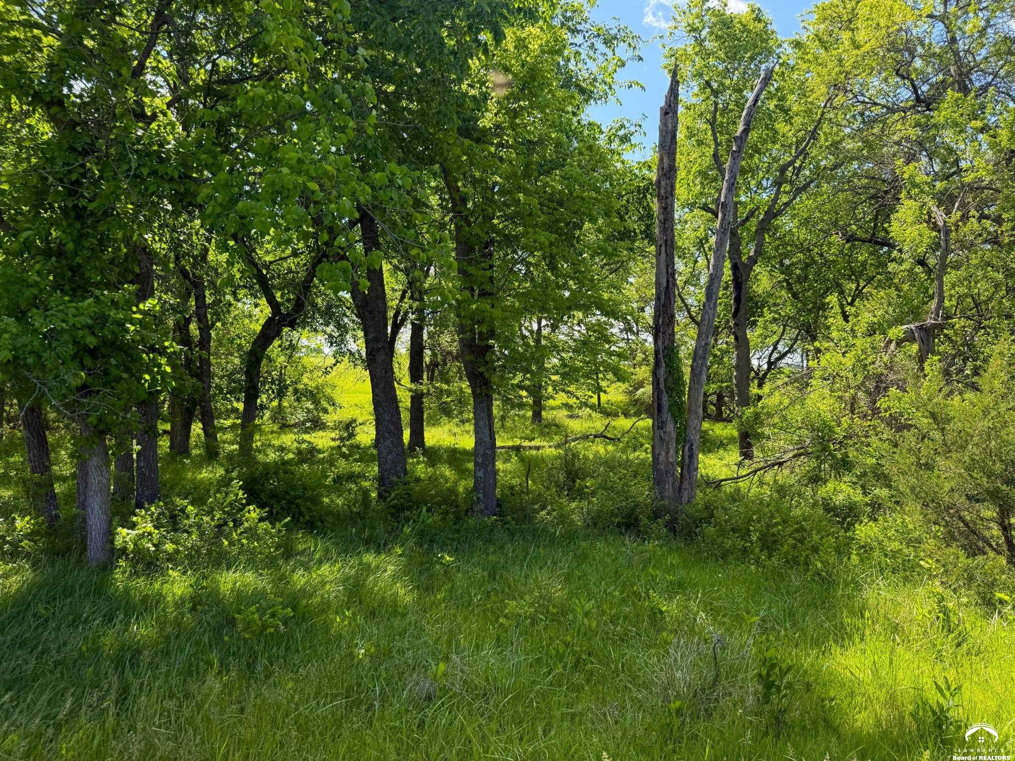 905 North 100th Road Baldwin City, KS 66006 - Photo 20 of 23