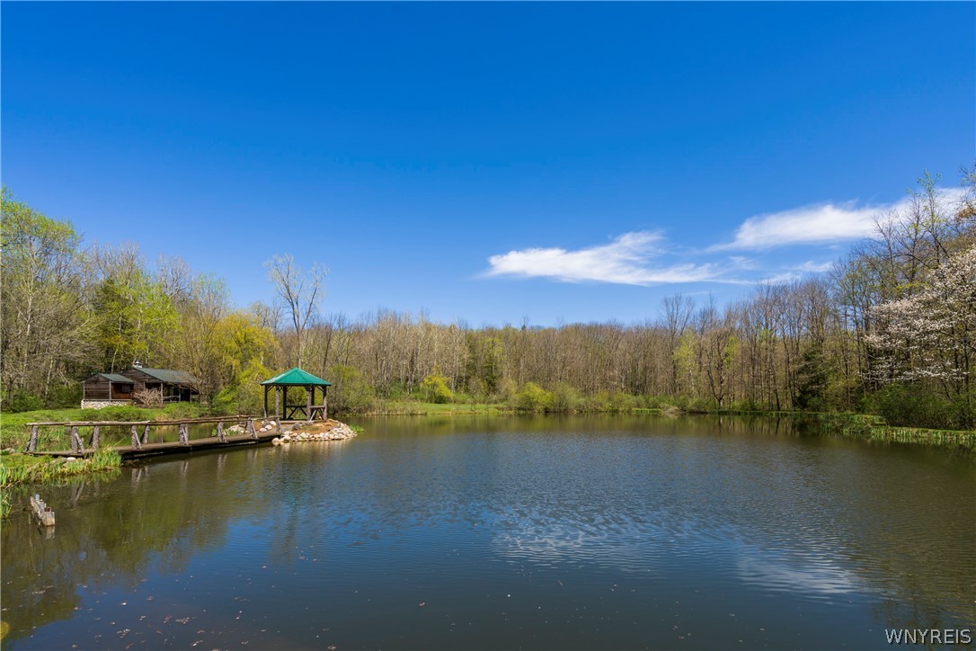 11522 Bixby Hill Road Freedom, NY 14009 - Photo 34 of 50 Pond with view to guest cabin