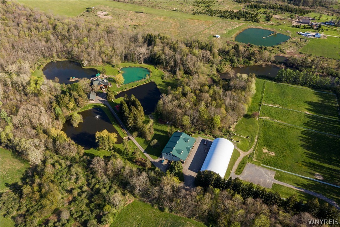 11522 Bixby Hill Road Freedom, NY 14009 - Photo 49 of 50