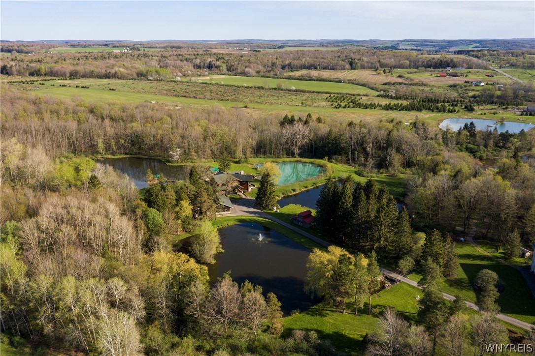 11522 Bixby Hill Road Freedom, NY 14009 - Photo 50 of 50