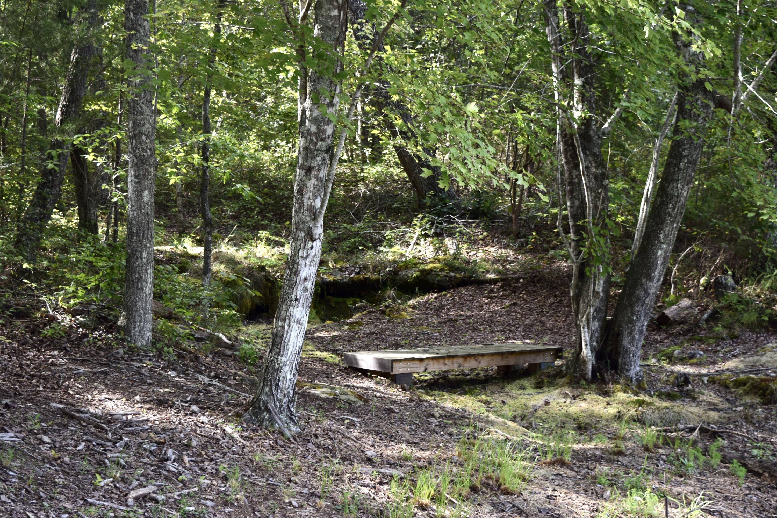 1038 Sawmill Creek Road Dunlap, TN 37327 - Photo 53 of 65 DSC_0480