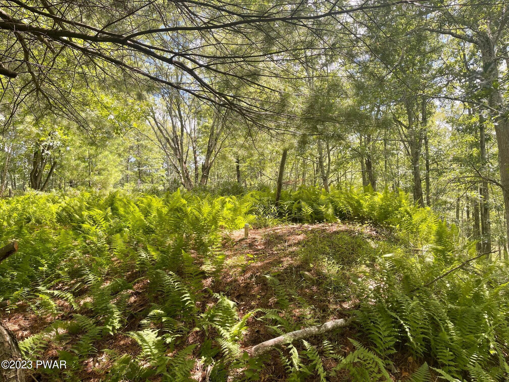 Lot 1 Olafsen Road Hawley, PA 18428 - Photo 8 of 8