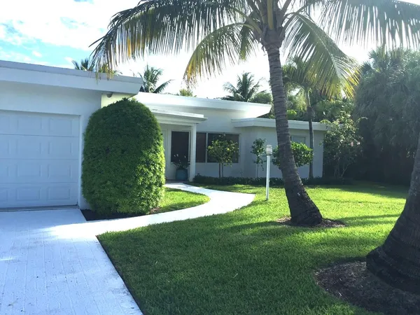 a view of a backyard with a plants