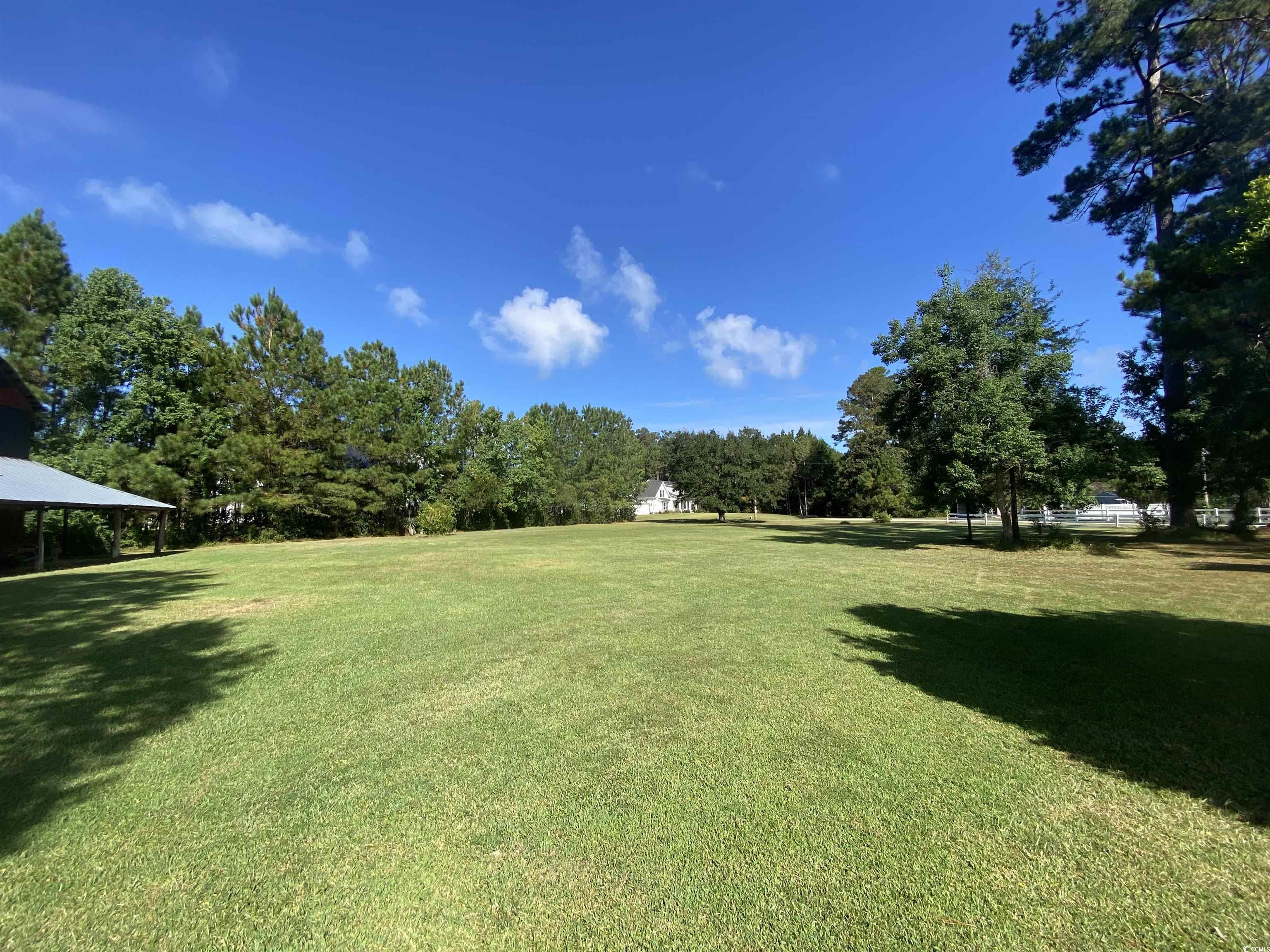2593 Long Ave Extension Conway, SC 29526 - Photo 12 of 40 View of grassy yard with view of wooded area
