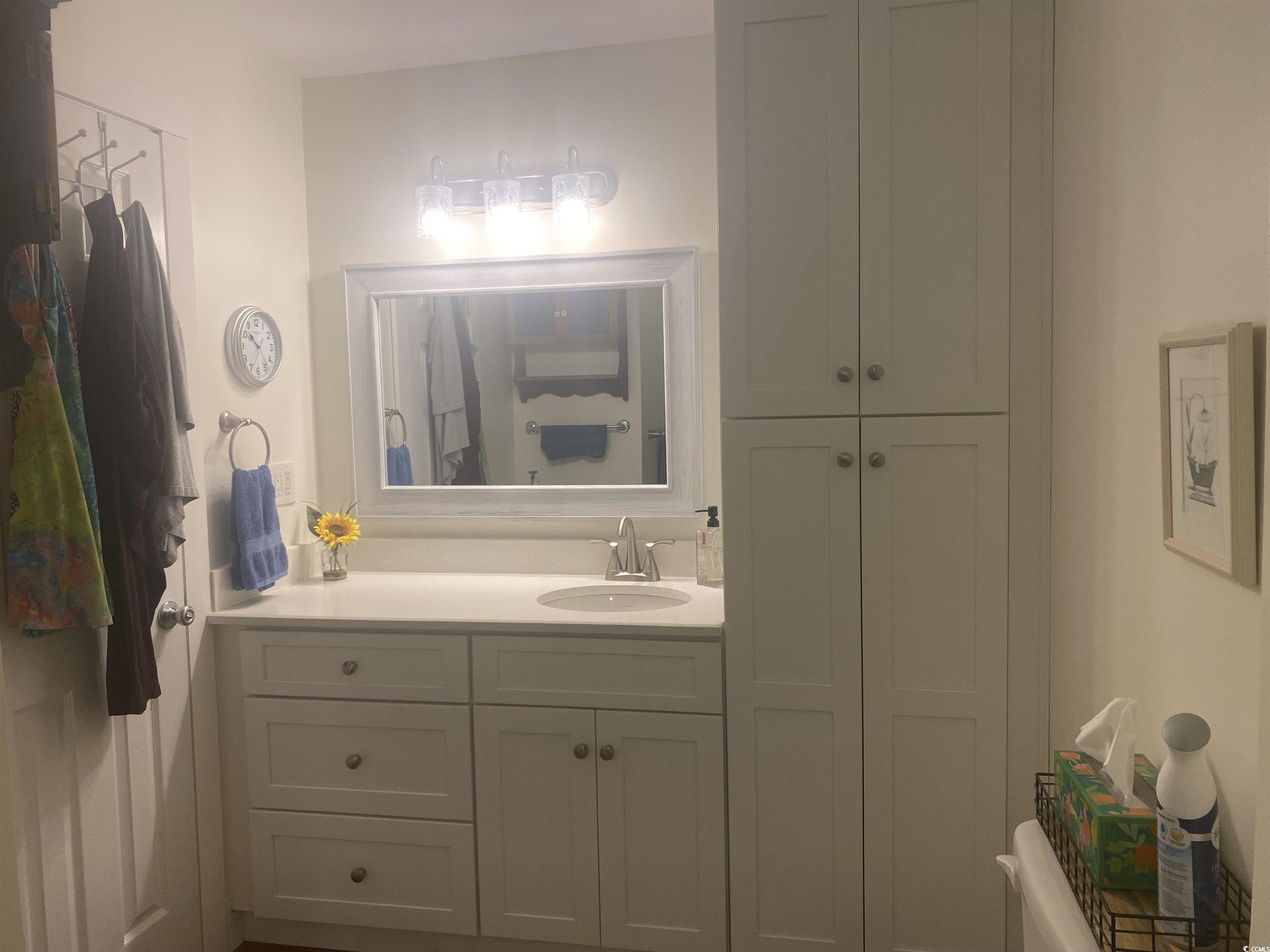 2593 Long Ave Extension Conway, SC 29526 - Photo 40 of 40 Bathroom featuring vanity and a closet