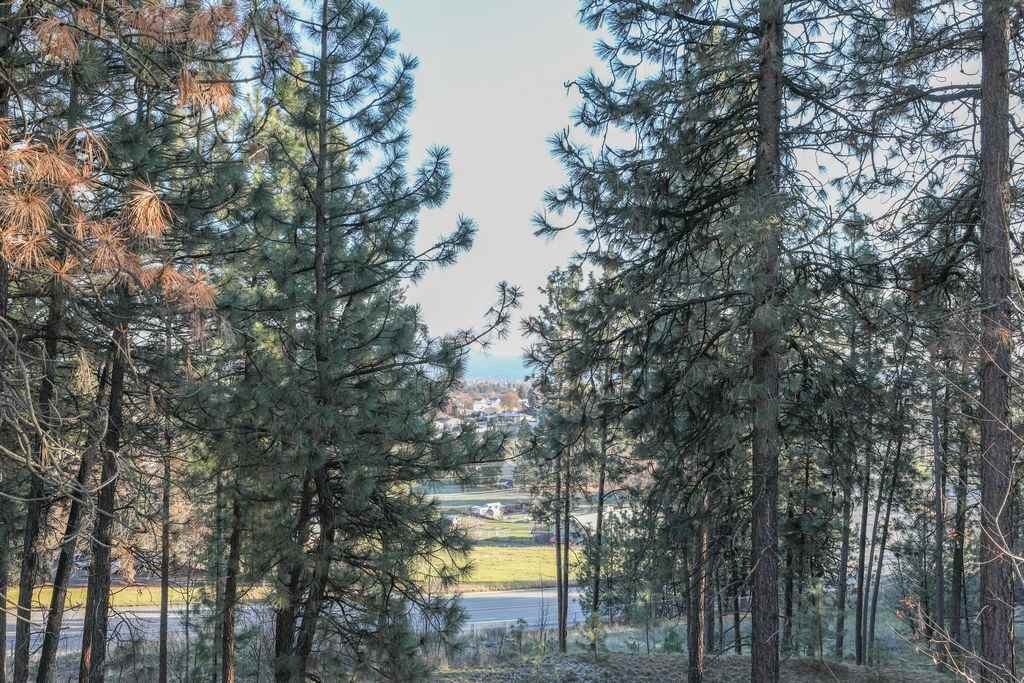 5126 North Riblet View Lane Spokane, WA 99212 - Photo 14 of 20