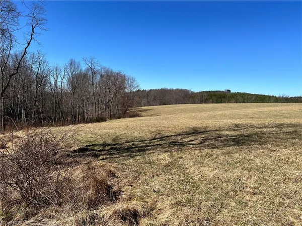 $275,000 | Tbd Fireside Drive, Laurel Fork, VA 24352